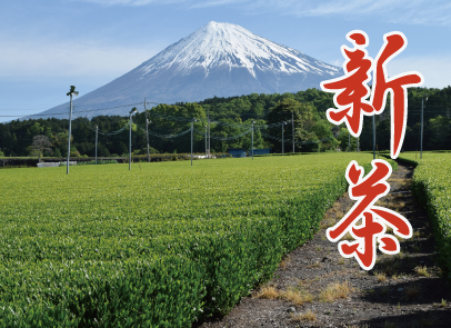 富士園　2022年新茶　DM